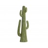 Cactus resina