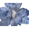 Poinsettia azulcon escarcha - Ø34
