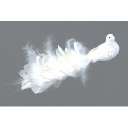 Pájaro blanco con pluma