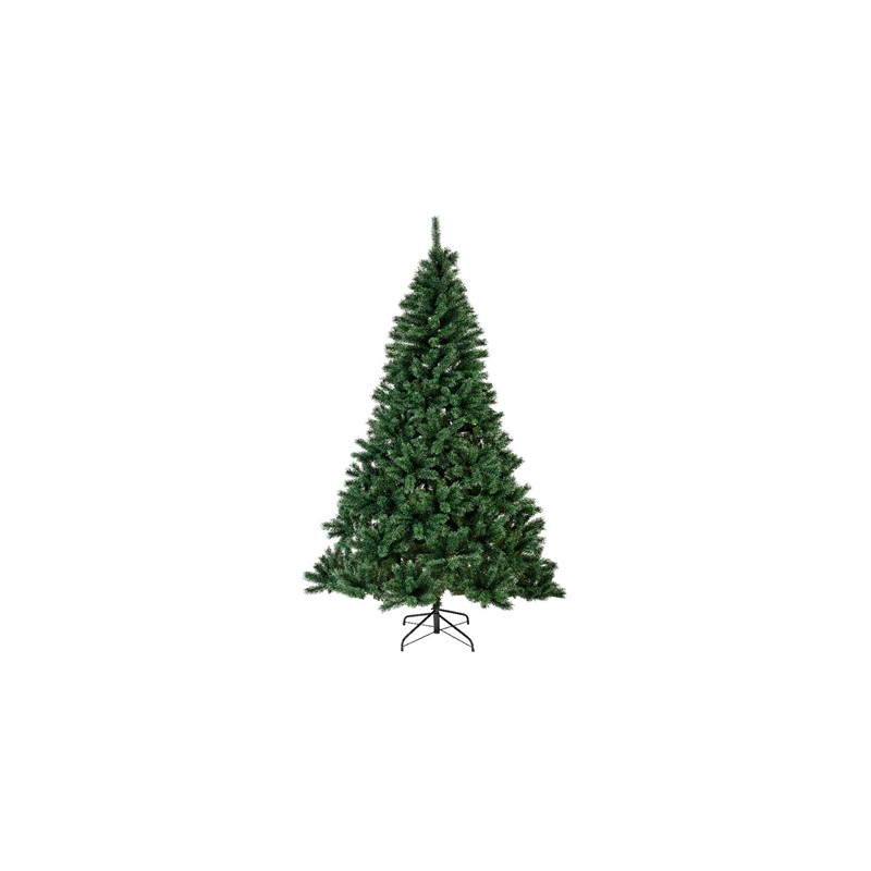Abeto Canada 300cm