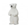 Oso polar