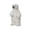 Oso polar