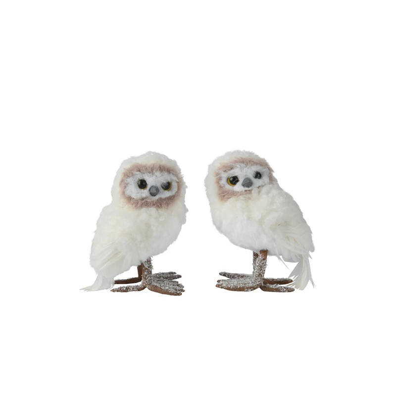 Búho