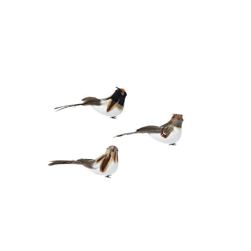 Pájaro