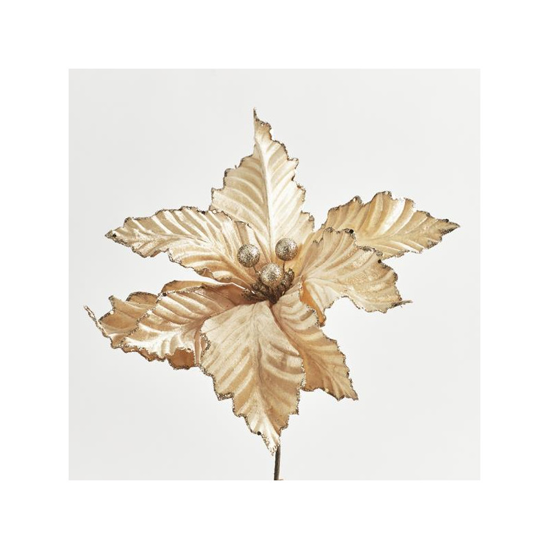 FLOR DE Pascua CHAMPÁN 32cm