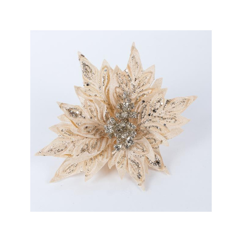 FLOR DE Pascua CHAMPÁN 25cm