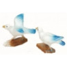 CRIA PALOMA 2CMS.
