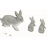 CRIA CONEJO 3CMS.