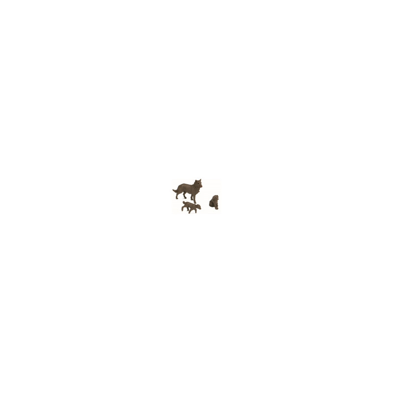 CRIA PERRO 3CMS.