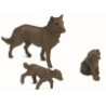 CRIA PERRO 3CMS.