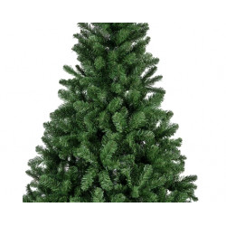 Abeto Imperial 450cm