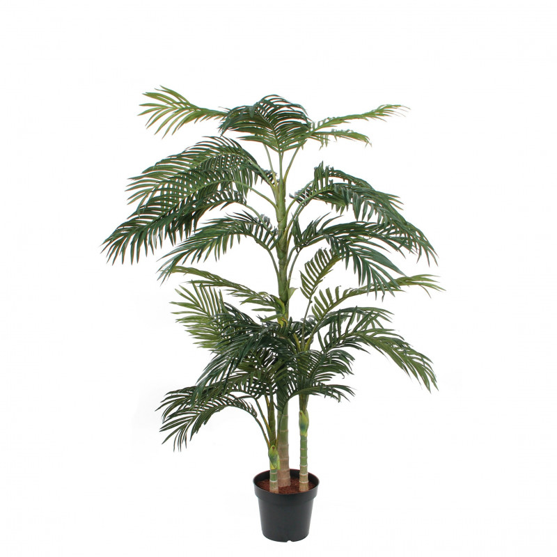 Areca 190x45cm