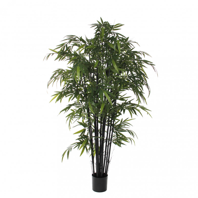 Bamboo 210x90cm