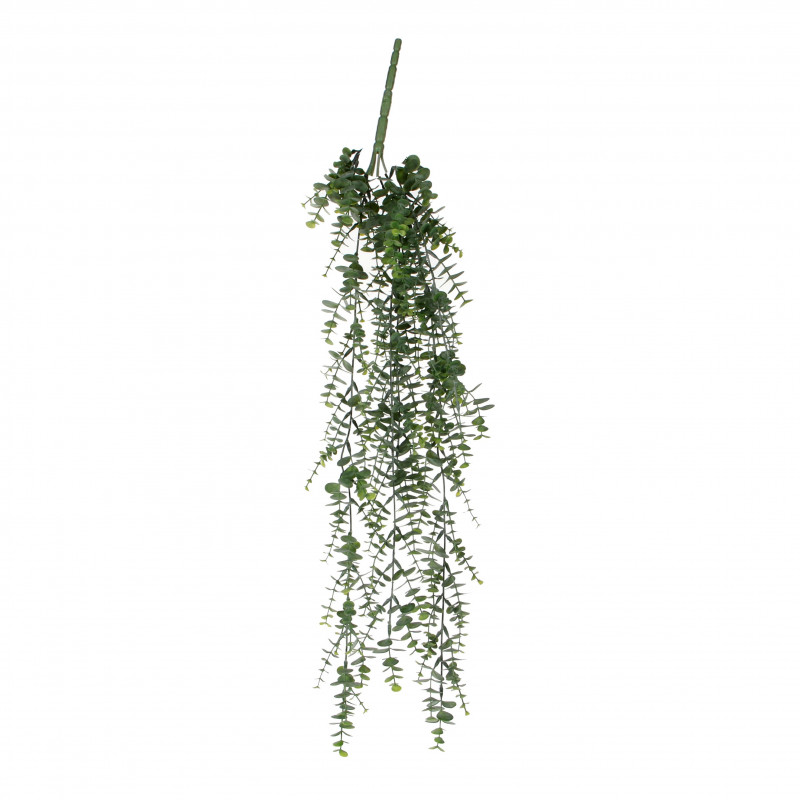 Eucalipto colgante 93x22cm