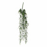 Eucalipto colgante 93x22cm