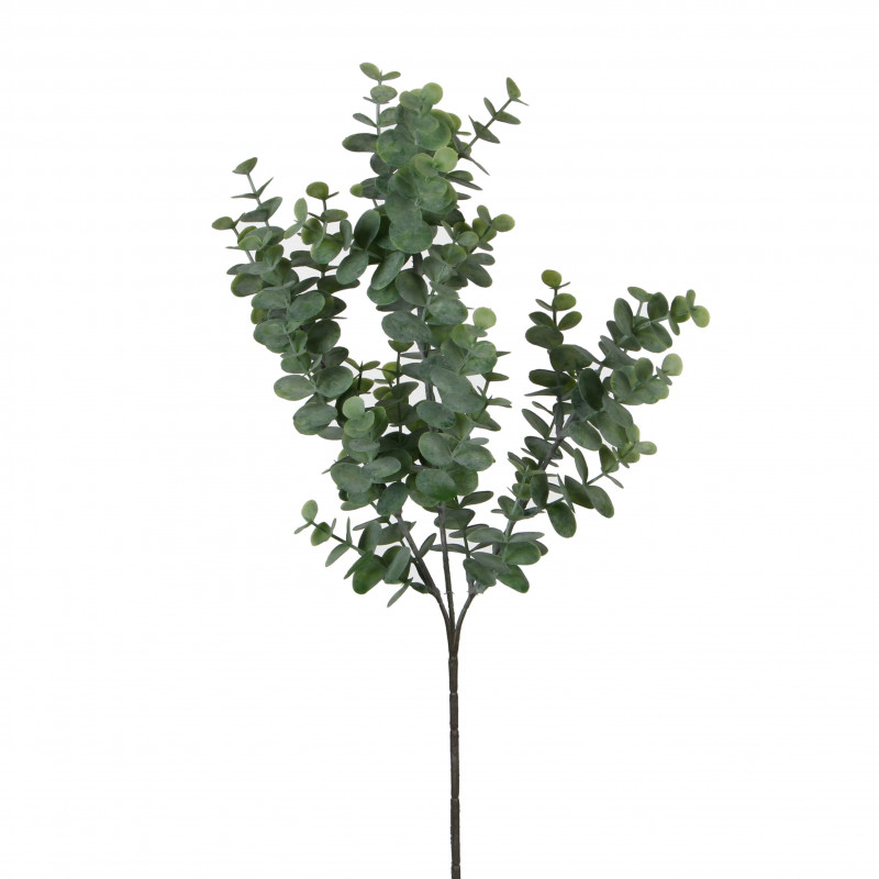 Eucalipto 65cm