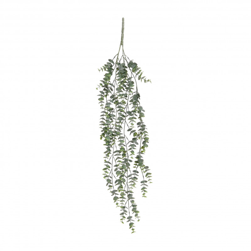 Eucalipto 73x18cm