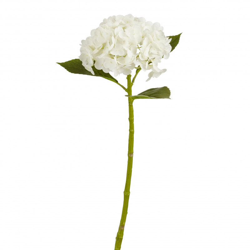 Hortensia blanca 49cm