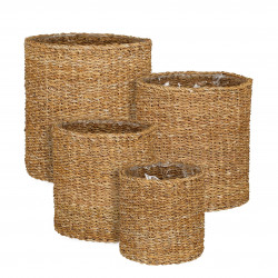 Cesta Dave