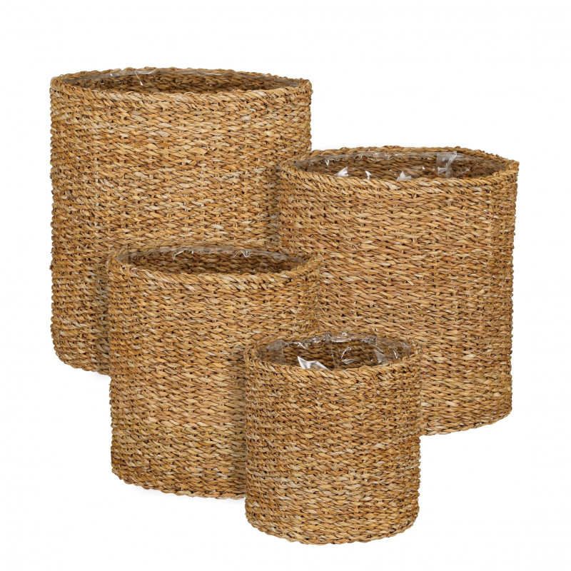 Cesta Dave