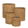 Cesta Dave