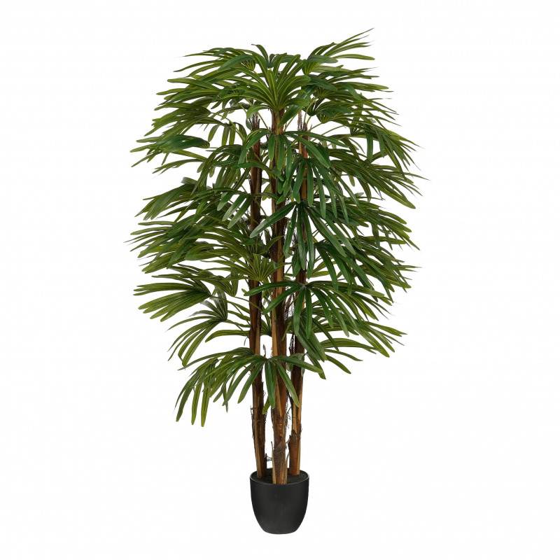 Bamboo 150x60cm
