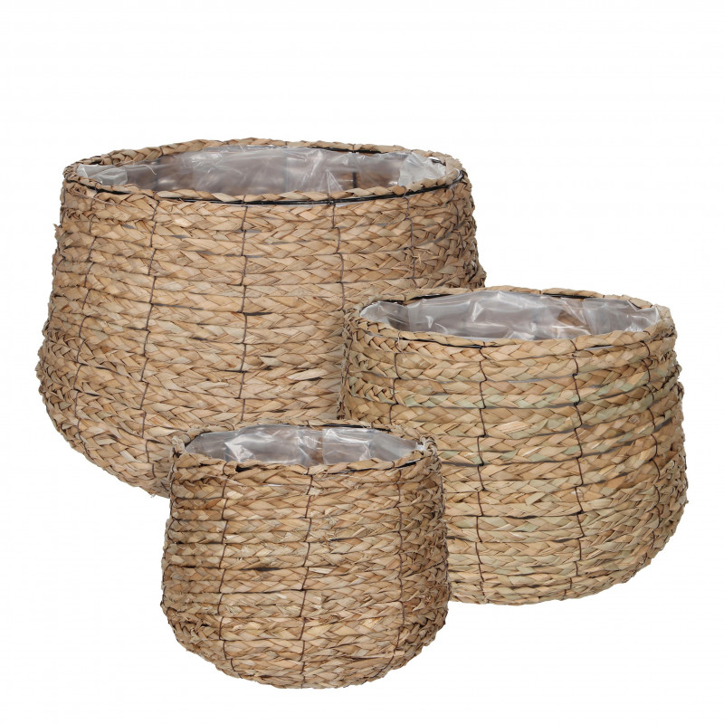 Cesta Avalon