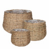 Cesta Avalon