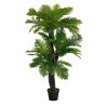 Palmera