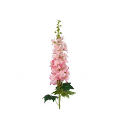 Delphinium delphinium en...