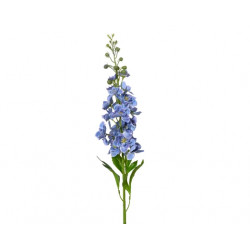 Delphinium delphinium en...
