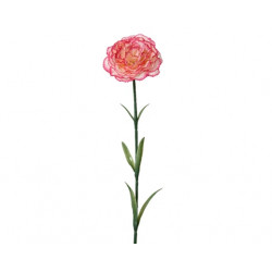 Clavel