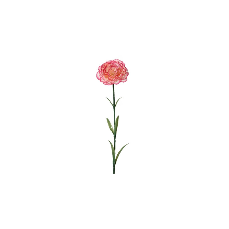 Clavel