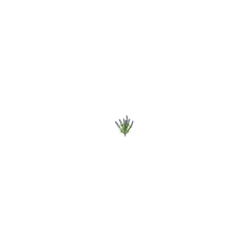 Lavanda manojo de lavanda manojo de lavanda de plástico