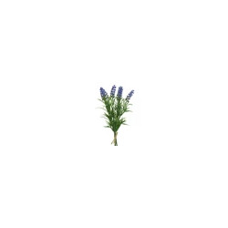 Lavanda lavanda plástico...