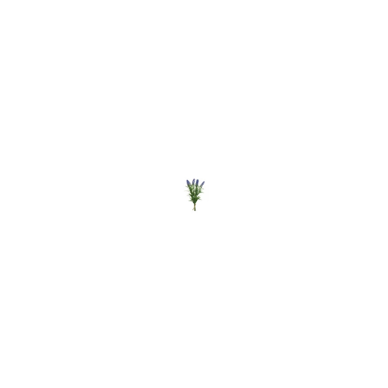 Lavanda lavanda plástico lavanda