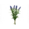 Lavanda lavanda plástico lavanda