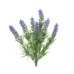Lavanda manojo de lavanda...