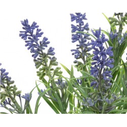 Lavanda manojo de lavanda manojo de lavanda de plástico