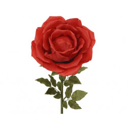 Rosa gigante