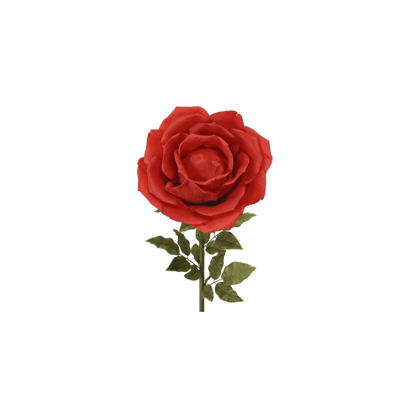 Rosa gigante