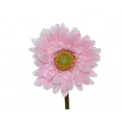 Poliéster Gerbera