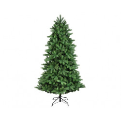 Abeto Ottowa fir 300cm