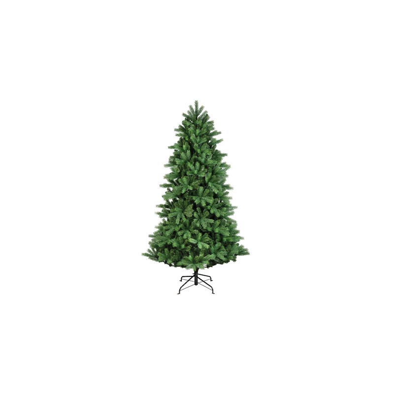 Abeto Ottowa fir 300cm