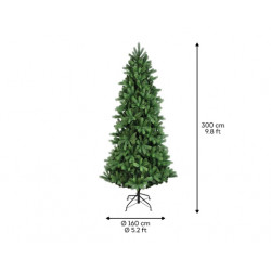 Abeto Ottowa fir 300cm