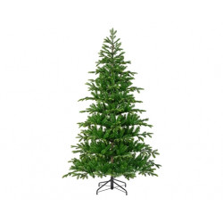 ABETO BALSAMEA 180-240cm