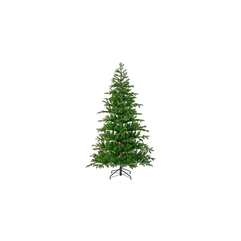 ABETO BALSAMEA 180-240cm