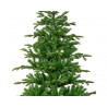 ABETO BALSAMEA 180-240cm