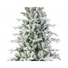 ABETO BALSAMEA NEVADO 180-240cm