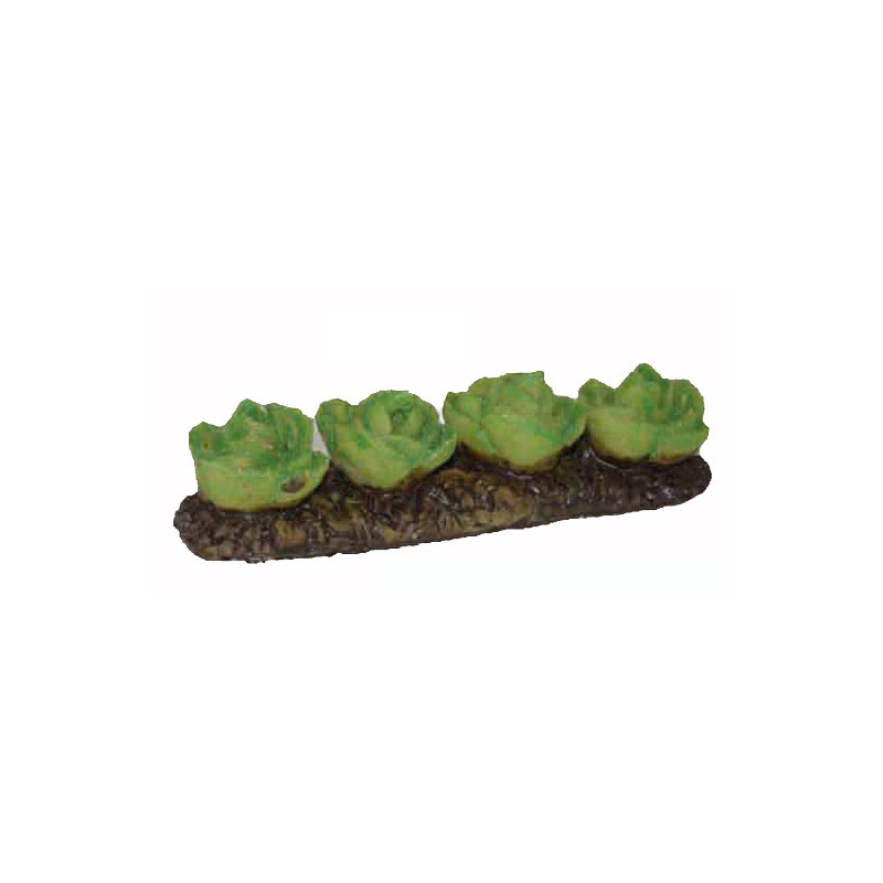 TIRA DE LECHUGA 7CMS.